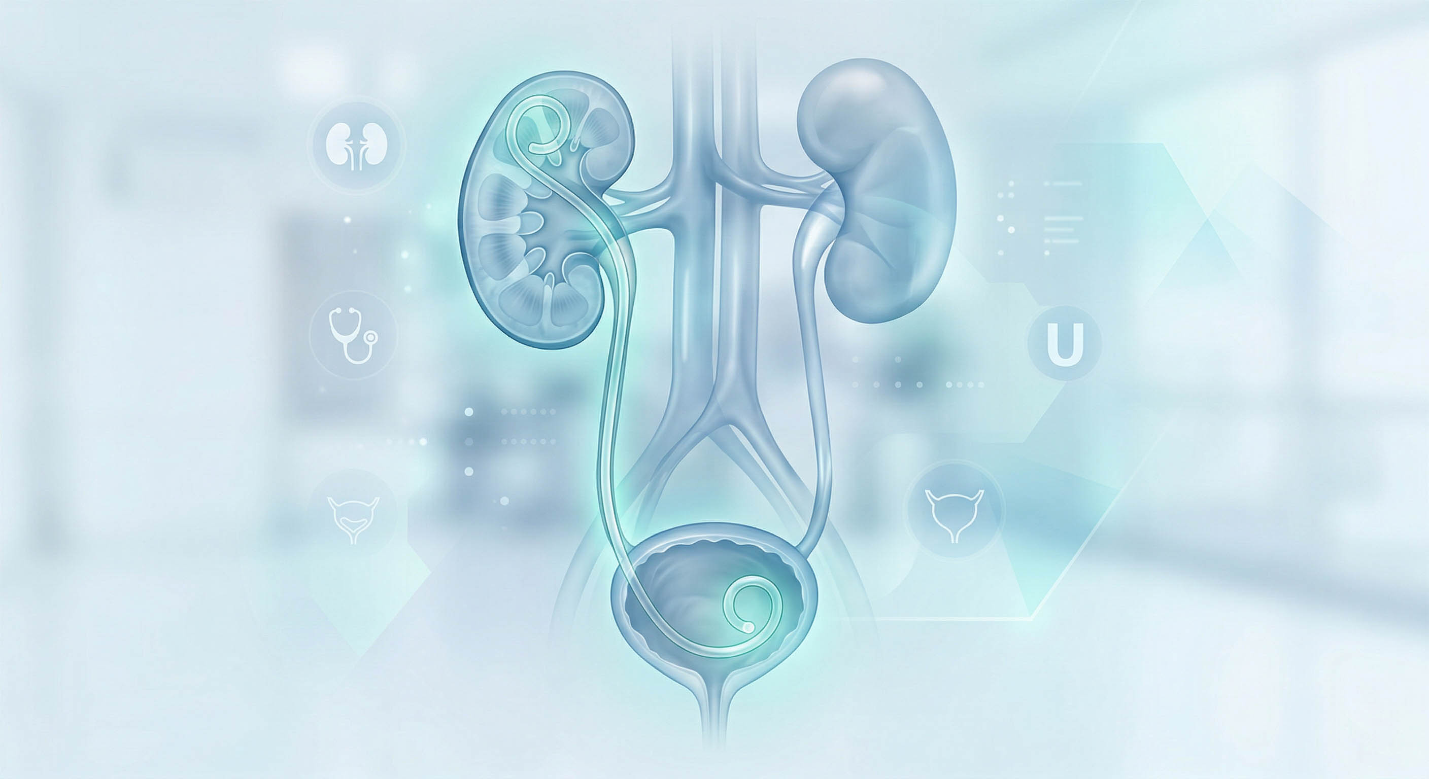 Indian hospital urology surgical procedure