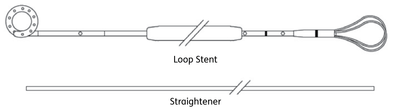 Loop Stent 2
