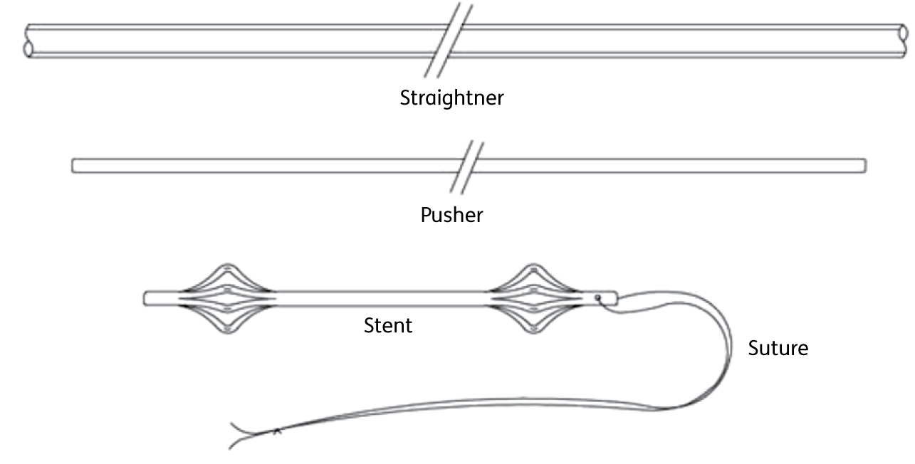 Prostate Stent 2